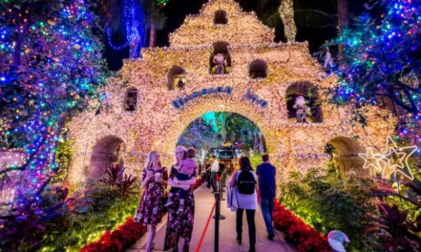 Festival of Lights